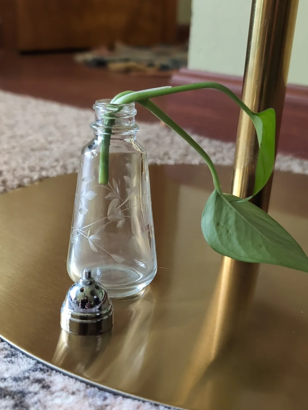 Princess House etched floral